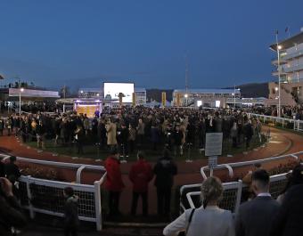 Selling for the Tattersalls Cheltenham Festival Sale takes place  in the Cheltenham winners' enclosure and starts after racing on March 14