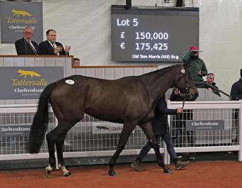 Top lot: Old Tom Morris (Lot 5) was purchased by Hamish Macauley for £150,000